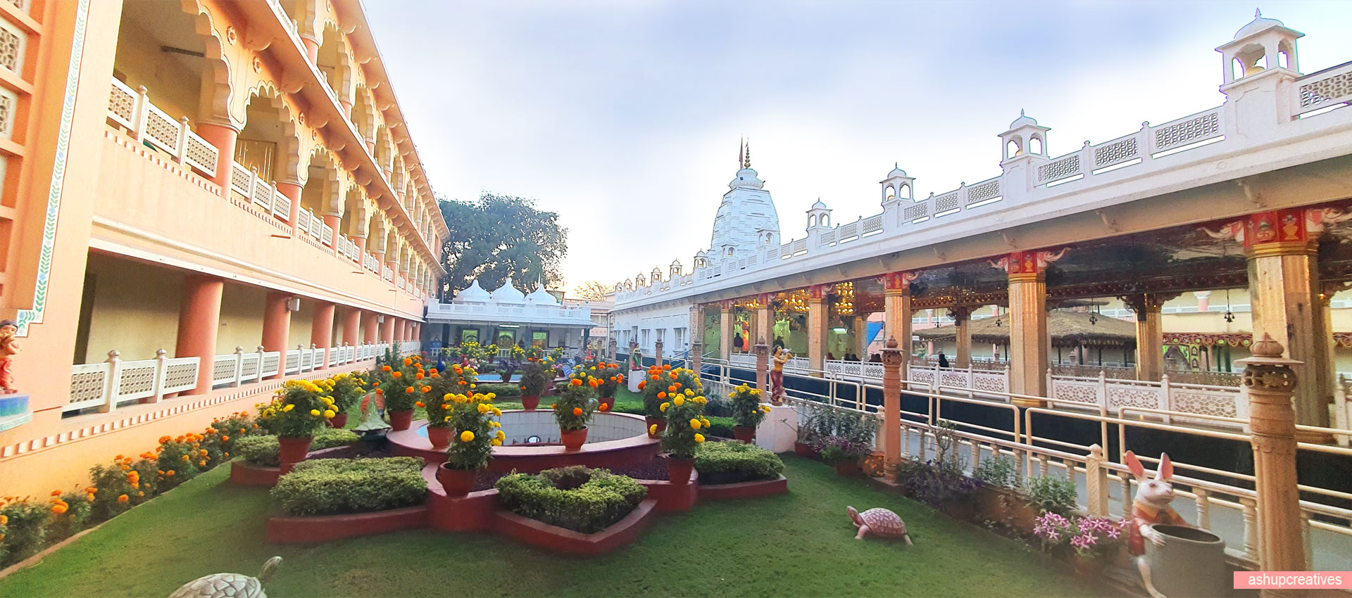 The Mandir Inside View